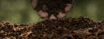 Soil